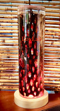 Load image into Gallery viewer, Color Changing Resin Lamp - Cholla Wood