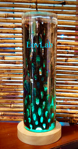 Color Changing Resin Lamp - Cholla Wood