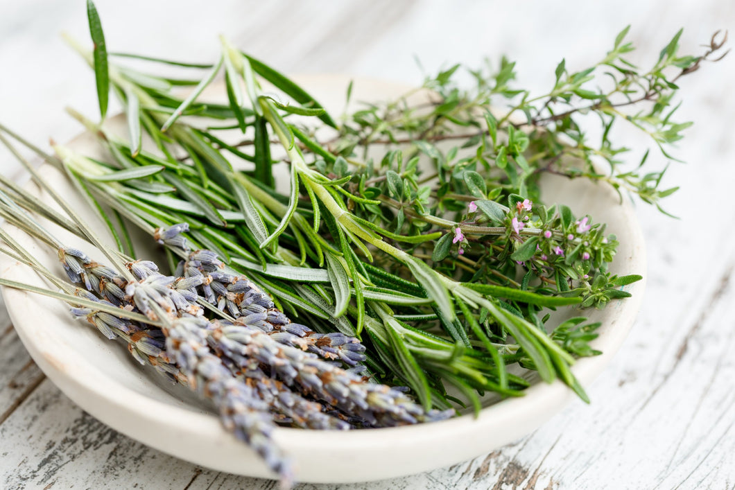 Natural Shampoo or Conditioner - Rosemary & Lavender