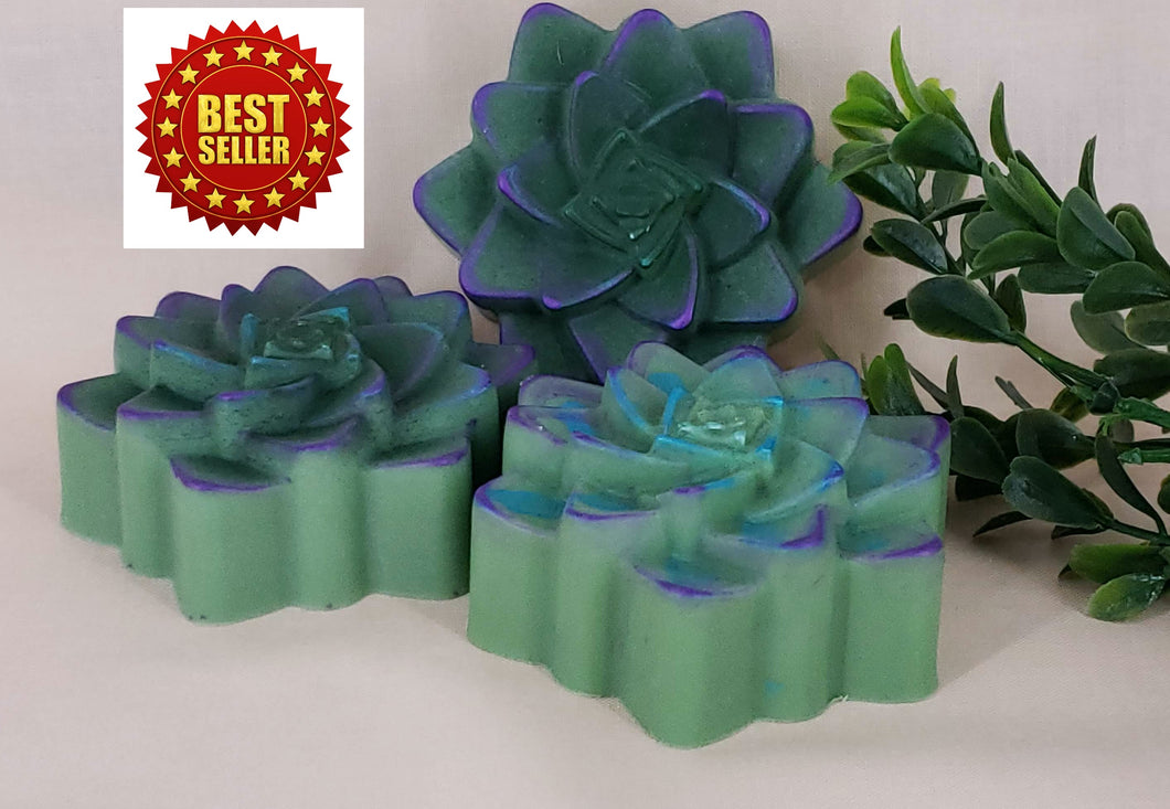 Succulent Soap - Lush Succulent Scent