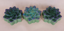 Load image into Gallery viewer, Succulent Soap - Lush Succulent Scent